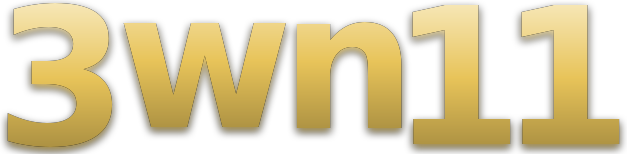 3wn11 logo